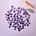 Μικρό Αστεράκι Αμέθυστου 1,5 εκ. - Image 2