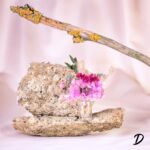 Mini Bouquet Αποξηραμένων Λουλουδιών σε Γυάλινο Βαζάκι - Image 10